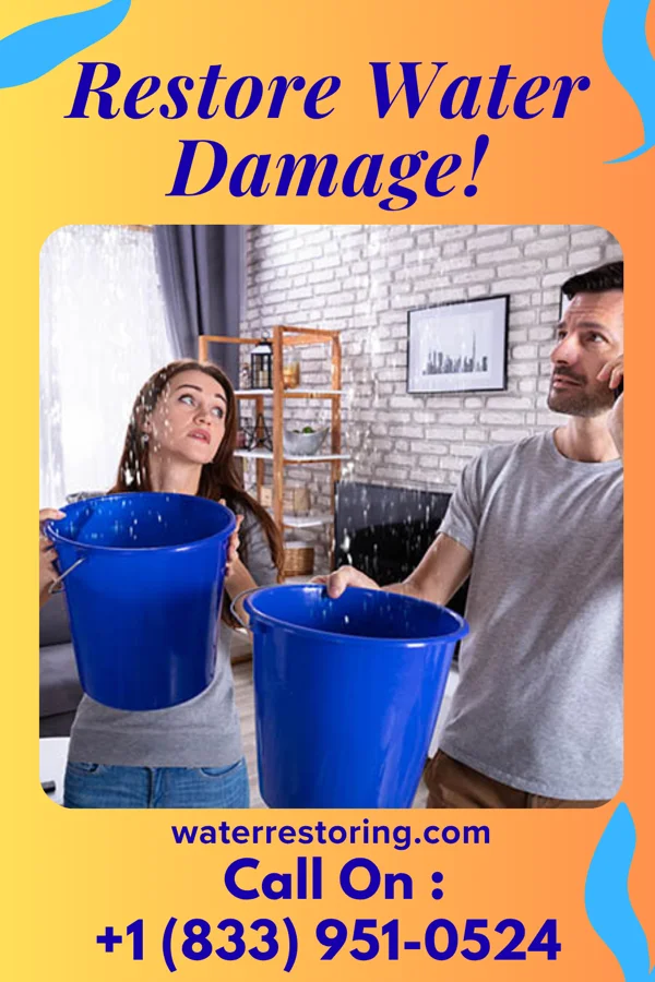 water restoration Prime Water Cleanup Pros Bel Air South