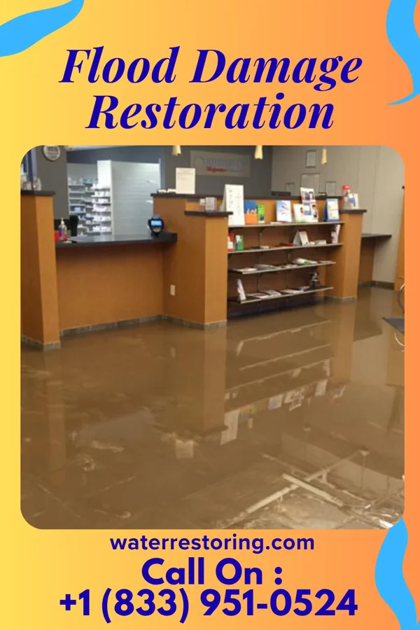 Flood Damage Restoration in Bel Air South, MD
