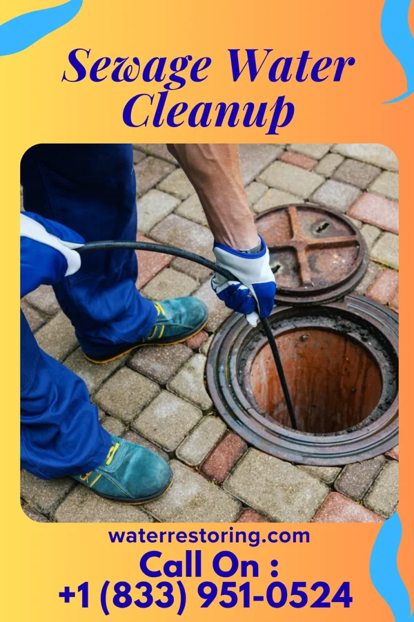 Sewage Water Cleanup in Bel Air South, MD