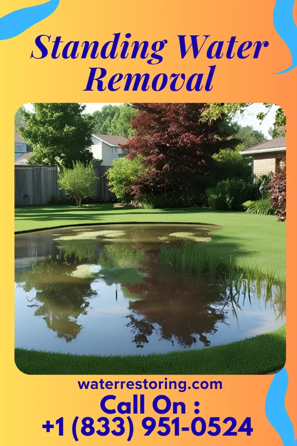 Standing Water Removal in Bel Air South, MD